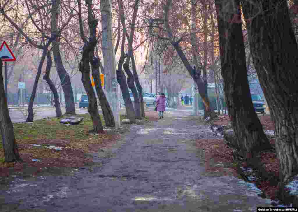 Адистер абьюзер темасын ачык айтылып, коомчулукта байма-бай көтөрүлүп, аялдар зордук-зомбулукка чыдап жашай бербеши керек экенин айтышат. Тилекка каршы Кыргызстанда зөөкүр күйөөсүнөн качкан жалгыз бой энелерге кам көрүп, колдоо көрсөтө турган атайын мамлекеттик программалар жок".