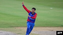 راشد خان یکی از ستاره های شناخته شده تیم ملی کریکت افغانستان