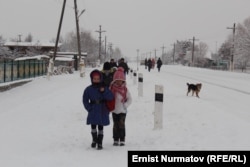 Иллюстрациялык сүрөт.