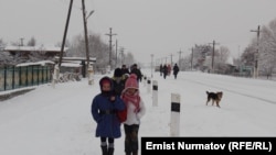 Иллюстративное фото