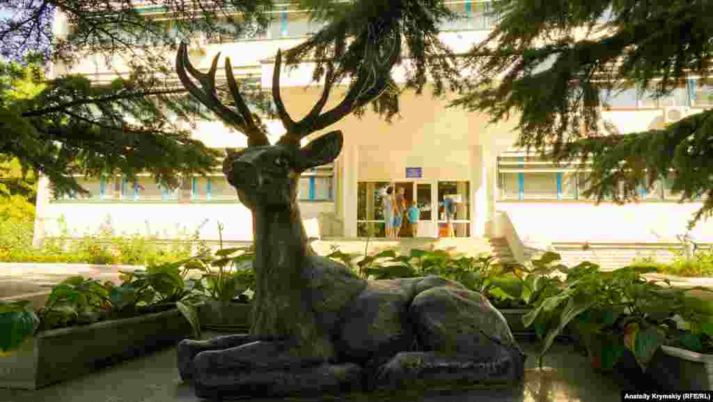 Aluşta civarında Qırım tabiat qoruğınıñ memuriy binası yanında. Qoruqnıñ özü on kilometr uzaqlıqta