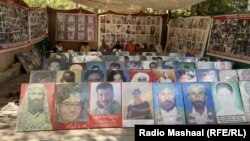 په کوټه کې د تري تمو بلوڅانو تصویرونه 