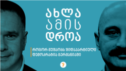 როგორ მუშაობს შიდაპარტიული დემოკრატია გერმანიაში