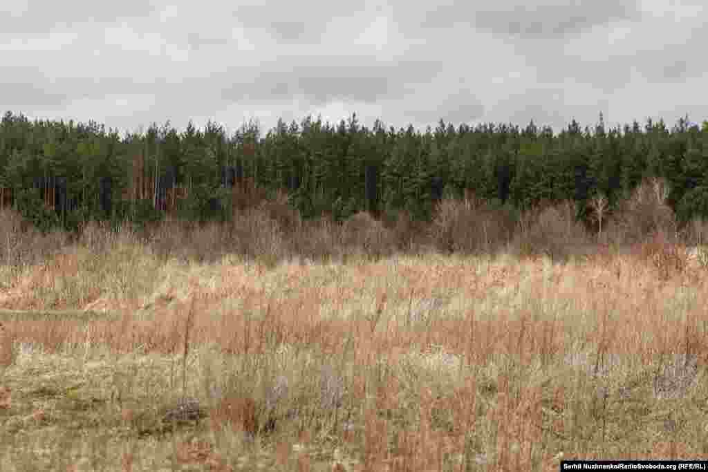 Fotografia e parë: Automjete të shkatërruara ushtarake, në periferinë e Teterivskes. Fotografia e dytë: Mbeturinat e mjeteve të shkatërruara më nuk duken në të njëjtin vend, teksa toka e shkrumbuar është ringjallur.