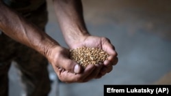 Autoritățile din Bulgaria au constatat că embargoul impus cerealelor din Ucraina are efecte negative asupra propriei economii. (Imagine generică)