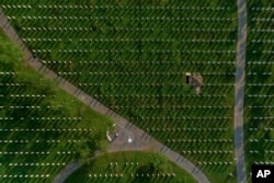 Varrezat në Potoçari ku janë varrosur viktimat e gjenocidit në Srebrenicë.