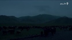 د قرغیزستان شپانه څنګه ژوند کوي؟