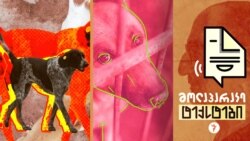 ცხოველი ადამიანის ხელში. აქვთ ცხოველებს უფლებები?