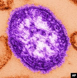 Čestica virusa malih boginja pod elektronskim mikroskopom