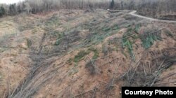 Na lokaciji Kraljevo brdo posječena je šuma na više od 18 hektara.