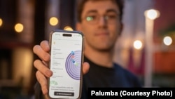 Aplicația Palumba propune 29 de declarații cu care utilizatorii aleg dacă sunt sau nu de acord. În baza alegerilor lor, ei sunt „cuplați” cu partidul european și cel local care li se potrivește.