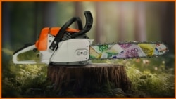 Нелегалната трговија со дрвја е светски бизнис број три