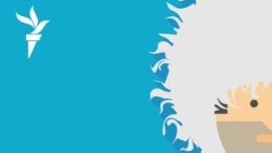 Стрельба в Wildberries: кавказский след | #202