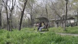 История кыргызстанки, которая во время работы в России узнала, что ее брак расторгнут