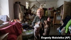 Локална жителка си ги спасува кучињата во поплавениот дом во Херсон.