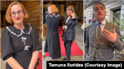 მთავრობის წარმომადგენელი, ენერგეტიკის განვითრების ფონდის დირექტორის მრჩეველი და ეროვნული ბიბლიოთეკის ხელმძღვანელი