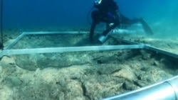 Rijetko neolitsko nalazište u Hrvatskoj, uvid u život prije 7.000 godina