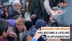 Afghan Women And Children Driven To Begging For Bread In Kabul