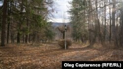 „Priveliștea” din fața blocului nr. 2