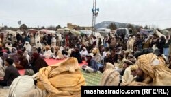 د انګور اډې خلک د فبرورۍ په دریمه په پرلت کې ناست دي.