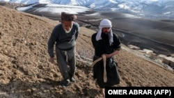 دهقانان در بدخشان میخواهند تا کمک های بدیل کشت کوکنار در اختیار آنان قرار بگیرد 