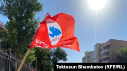 "Бүтүн Кыргызстан" партиясынын желеги. Архивдик сүрөт.
 