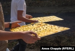 Students carry trays of peach slices to drying machines at the school.
