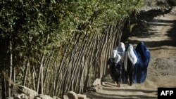 دختران افغان از درخواست ملاله یوسفزی استقبال کرده و از جهانیان می‌خواهند که برای رفع محدودیت‌های آموزشی تلاش کنند.