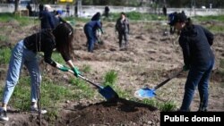 Жогорку Кеңештин кызматкерлеринин Энвер Гареев атындагы Ботаникалык бактагы ишембилиги. 20-апрель, 2024-жыл.