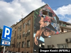 Gina Ranjičić, jedna od autorki romske književnosti 19. veka, pesme o nomadskom životu pisala je na romskom, srpskom, nemačkom, turskom, jermenskom i albanskom jeziku.