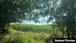 Az Orbán Győző által 2023 májusában megvásárolt területek egyike