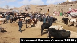 ارشیف: په افغانستان کې د څارویو د پلور او پېر یو بازار
