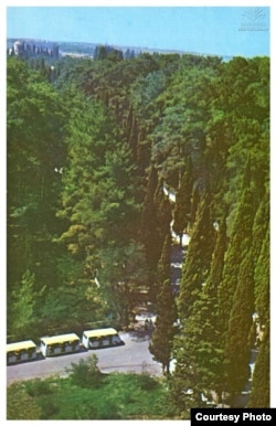 ბიჭვინთის კვიპაროსები, საბჭოთა პერიოდი