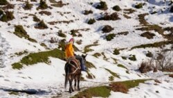 "Pa Kosovën vdesim" - Fshati i Shqipërisë siguron jetesën përtej kufirit