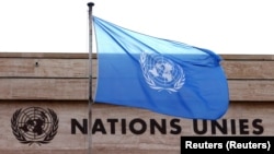 بیرق سازمان ملل متحد