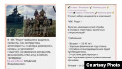 Скриншот из Телеграма.