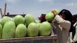  بازار سرد فروشات تربوز ولایت فراه 