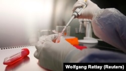 Një virolog në Berlin duke punuar në një institut kërkimor për viruse. Fotografi ilustruese nga arkivi. 