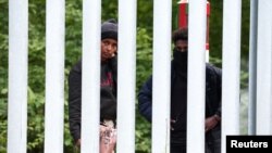 Migrant arrivals at Poland-Belarus border (file photo)