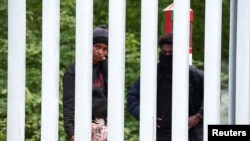 Migránsok a lengyel határkerítés belarusz oldalán 2024. június 3-án