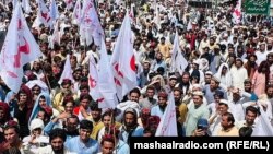 ډ پښتون ژغورنې غورځنګ د ملاتړ د لاریون یو انځور