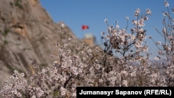 Ош. Сулайман-Тоо. 