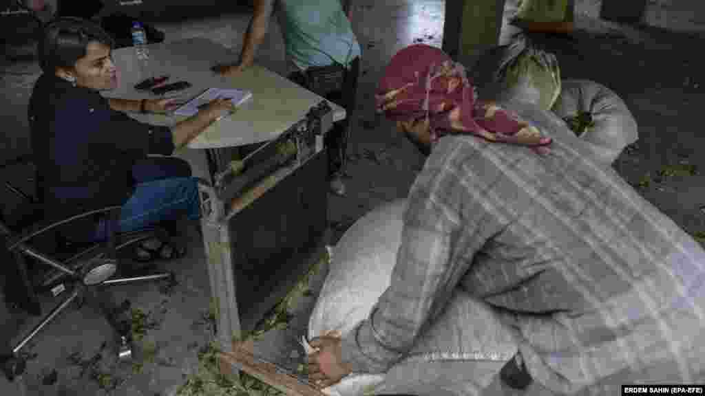 Një afgan duke vendosur thasë të mbushur me gjethe çaji për t'u peshuar dhe kontrolluar në një qendër blerjeje. Turqia vazhdon të ketë numrin më të madh të refugjatëve në mbarë botën, pasi numri i personave të zhvendosur me forcë në të gjithë botën për shkak të konfliktit, dhunës dhe persekutimit, ka arritur nivele rekord.