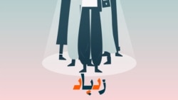 نسل زد؛ حیوانات خانگی