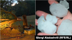 დასეტყვილია ვენახები და ხეხილის ბაღები. მაღრაანში ძლიერმა ქარმა მოგლიჯა ხეები.