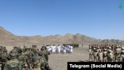 گروه سنی جیش العدل (آرشیف)