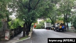 Дерево, що впало на вулиці Тролейбусній у Сімферополі, 28 липня 2023 року