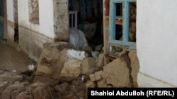 Варзобский район. 6 мая 2024 