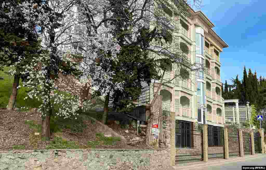 В разгаре цветение в городе алычи и миндаля