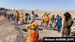 تعداد زیادی از رضا کاران و مردمان محل در زمینه کمک به قربانیان زلزله فعالیت می کنند